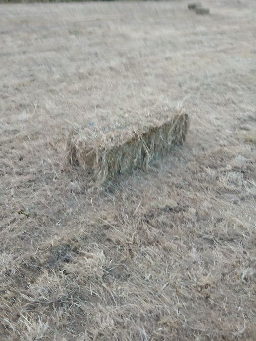 Vendo Fardos pequenos