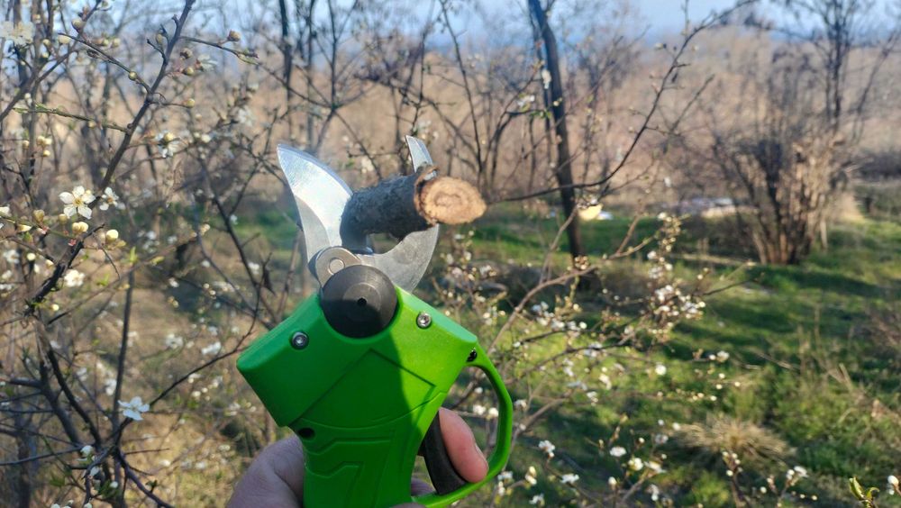 Аккумуляторный садовый секатор pro craft ES 16 Li