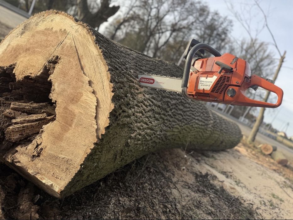Wycinka drzew /Rębak /Frezwoanie Pni