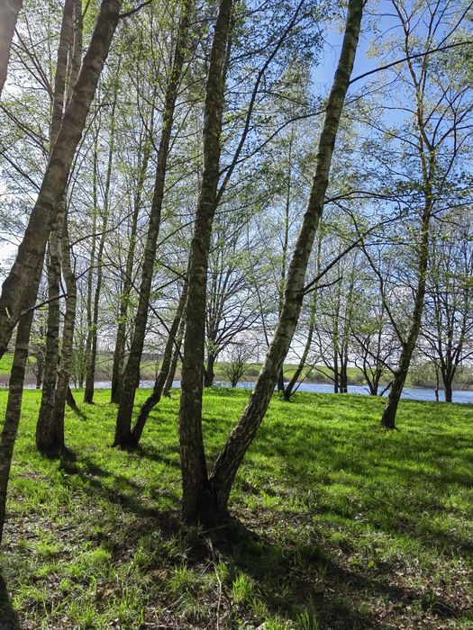 Sprzedam działki budowlane