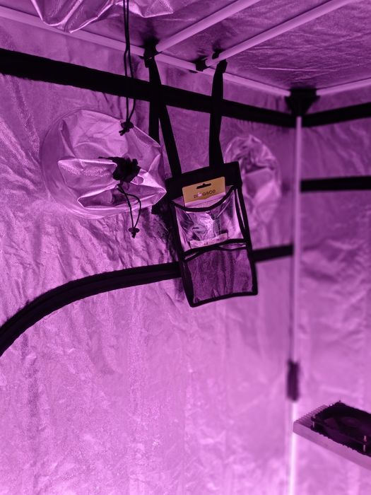 Гроубокс Garden HighPro PROBOX BASIC 240×120×200 см