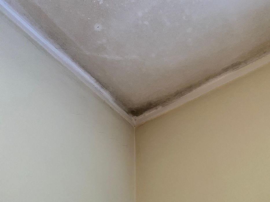 Fazemos limpezas interior e exterior/ furadouro etc