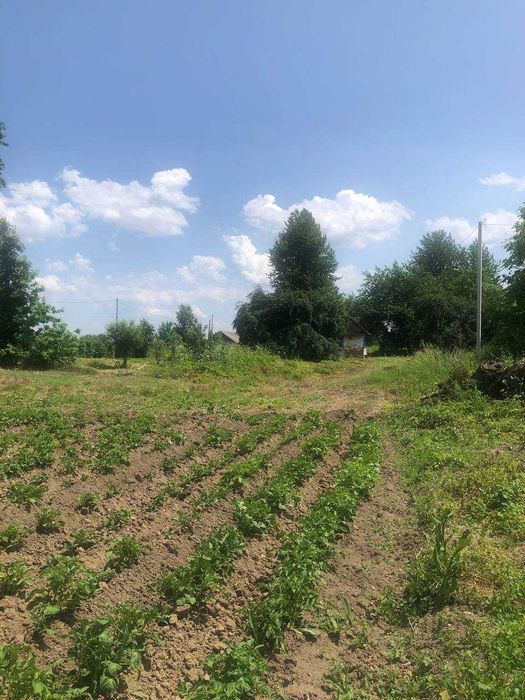 Продається земельна ділянка під житлову забудову в с. Підгір'я