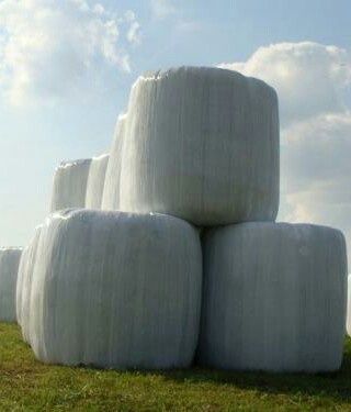 Sprzedam sianokiszonke