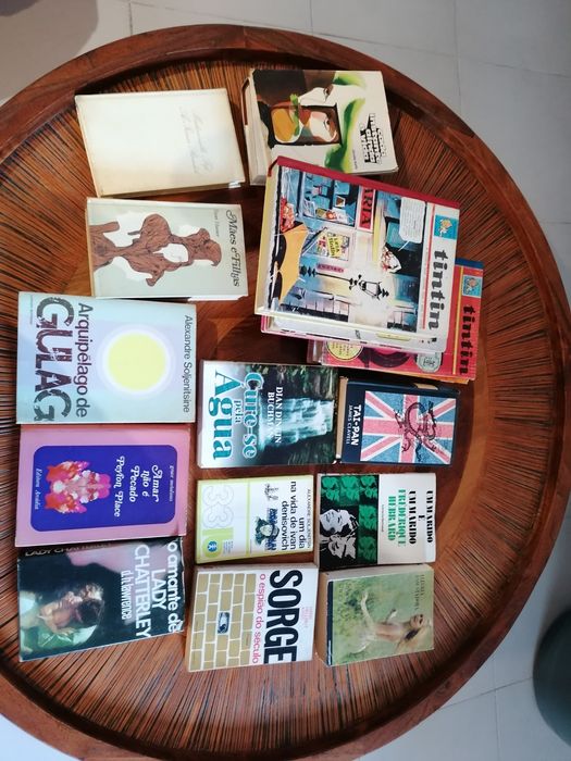 Coleção de livros diversos