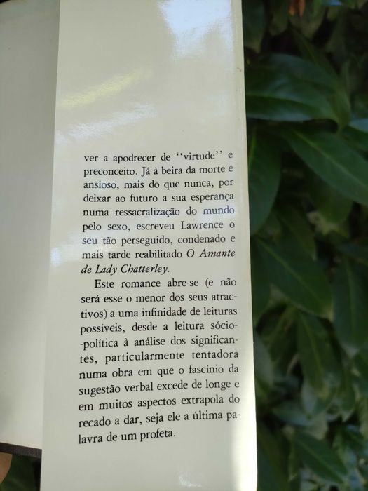O amante de Lady Chatterley (D. H. Lawrence)