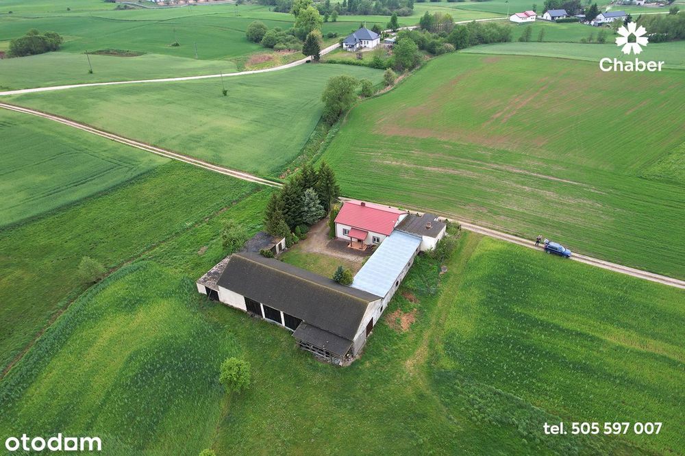 Siedlisko w sąsiedztwie lasów 17 km od Włocławka, dom 100m2