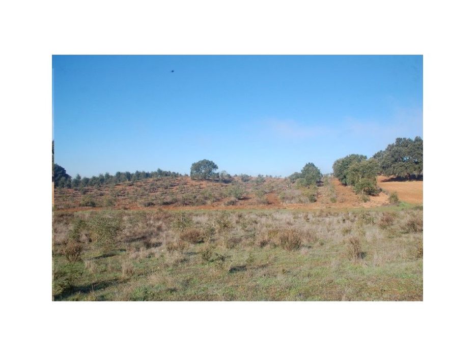 Terreno Cercal 3ha — Cercal, Setúbal