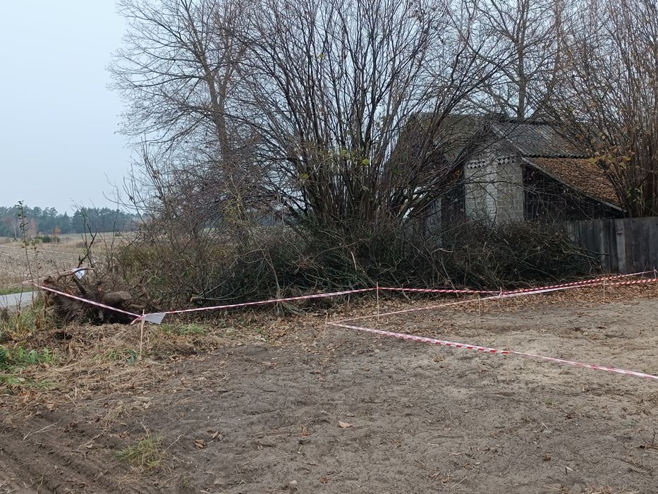 Darmowe Drewno Gałęziówka