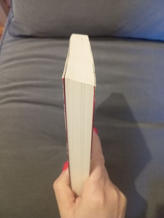 Livro "Uma mãe perfeita" de Aimee Molloy