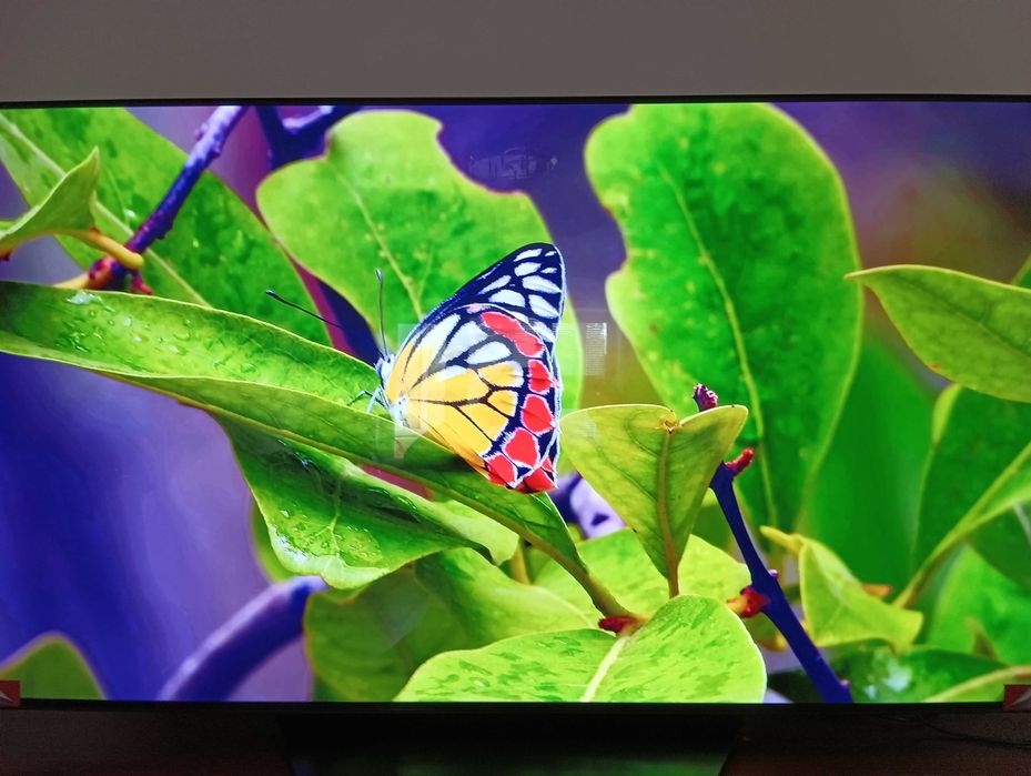 Телевізор LG OLED55BX