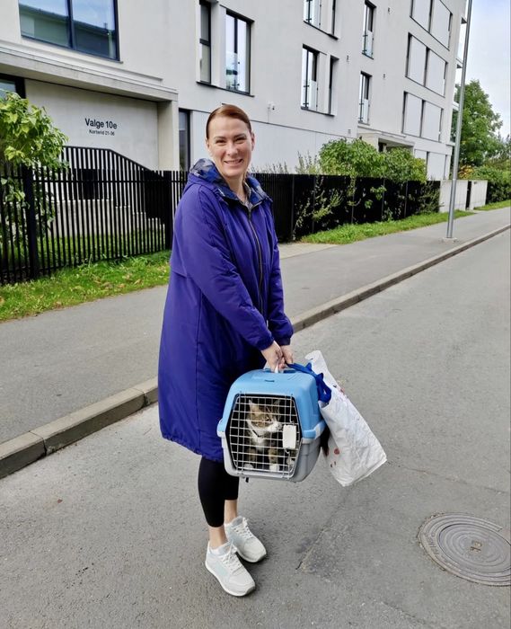Доставка, перевезення тварин закордон. Перевозка животных в Европу.