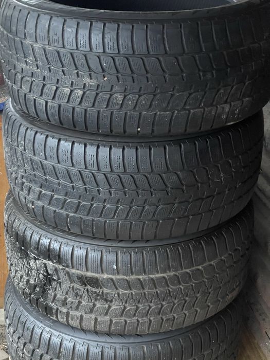 Шини Bridgestone R19