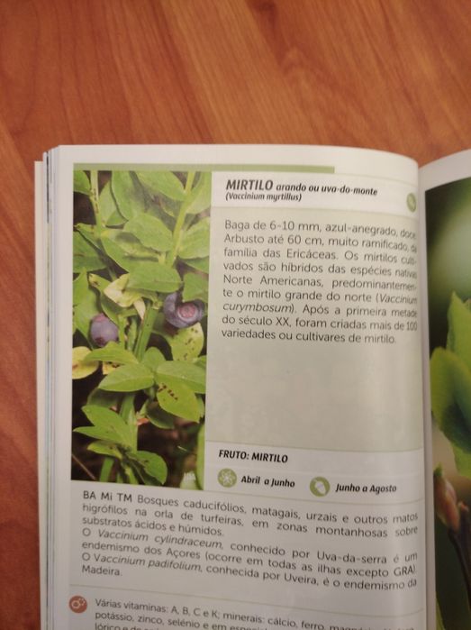 2 Guias práticos "Ervas silvestres" e "Frutos silvestres comestíveis "