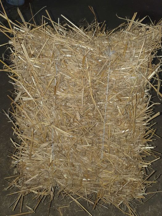 Słoma w kostkach żytnia pszenżytnia owsiana