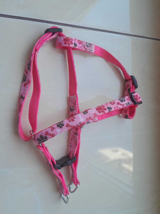 Шлея для маленькой собачки