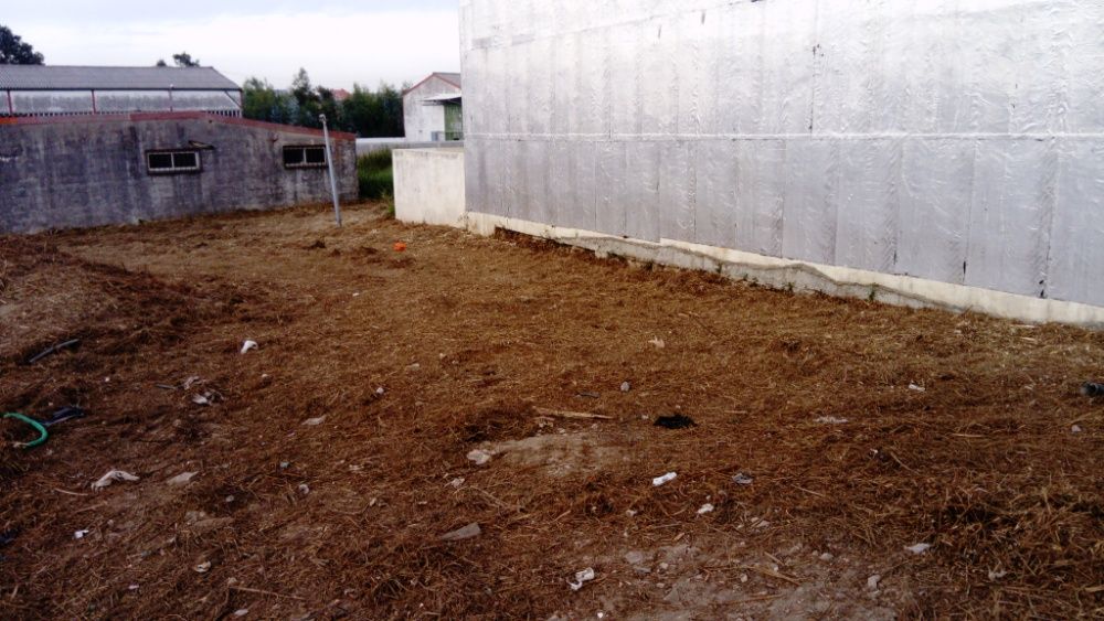 2 Terrenos para venda