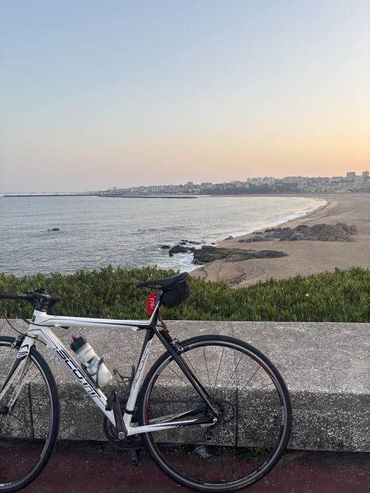 Scott Addict Carbono – Shimano Ultegra – Tamanho XS