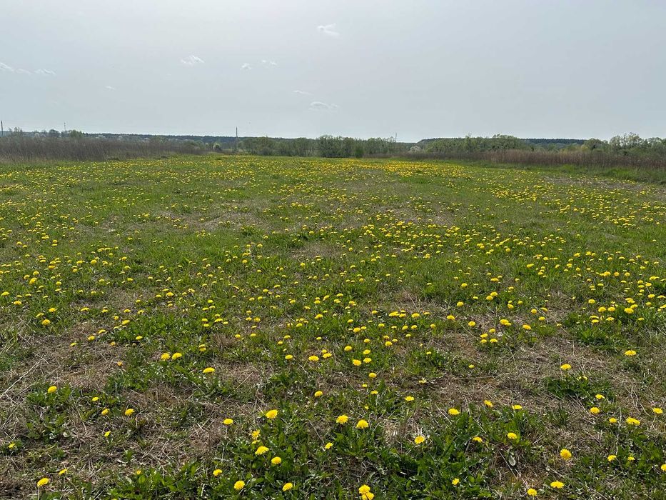 Продам фасадну ділянку в Ксаверівці