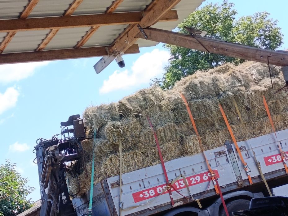 Продам сіно лугове сено коровкам