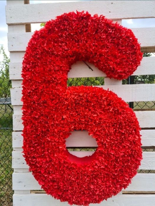 Декоративна, шикарка обʼємна цифра 6 та 9 до Дня Народження