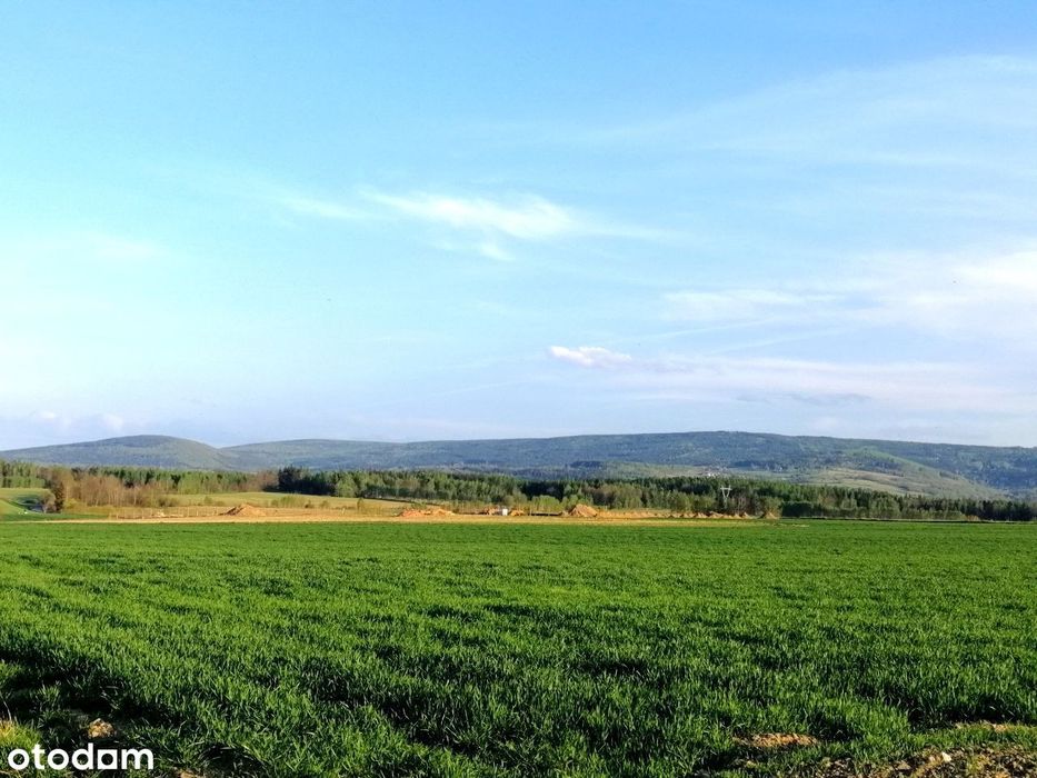 Mirsk/ Świeradów działki budowlane widokowe