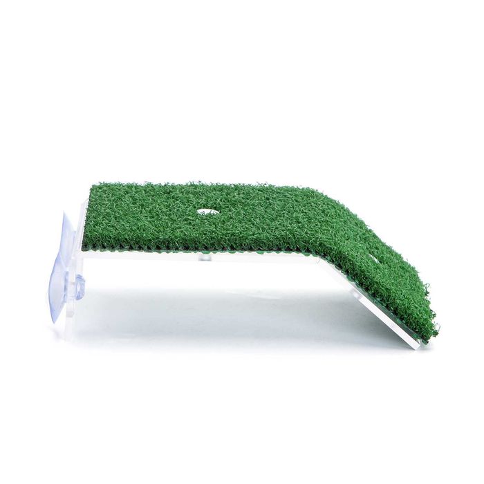 NOVO - Rampa de Tartarugas, ilha de tartarugueira