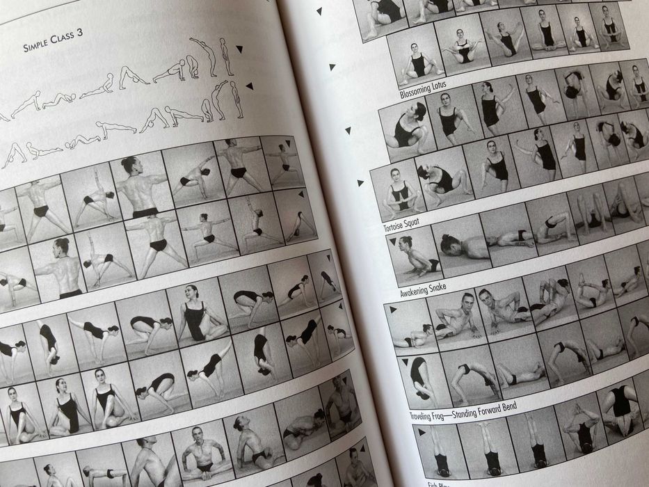 "JIVAMUKTI YOGA" by Sharon Gannon and David Life
