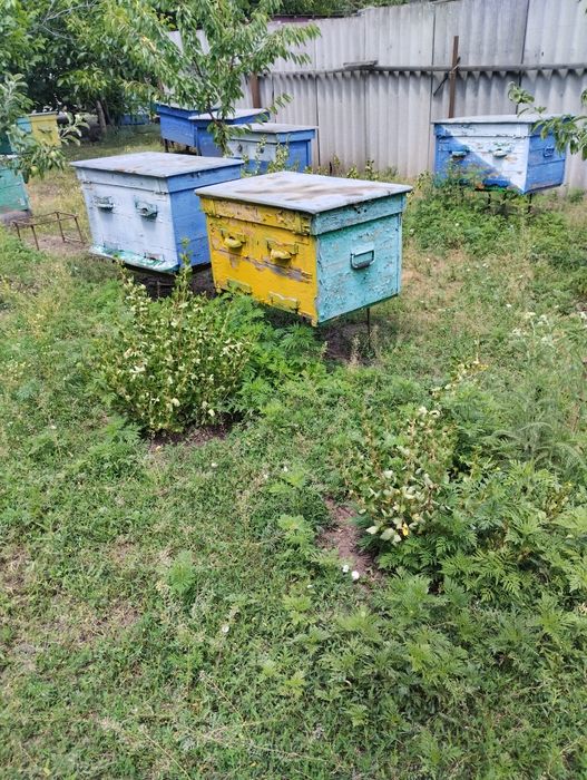 Продам вулики лежаки в гарному стані