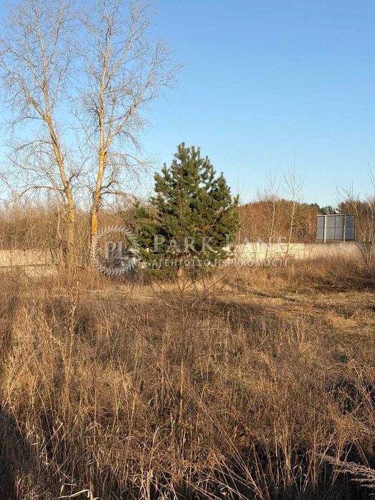 Продаж земельної ділянки, Обухівський р-н, Козин
