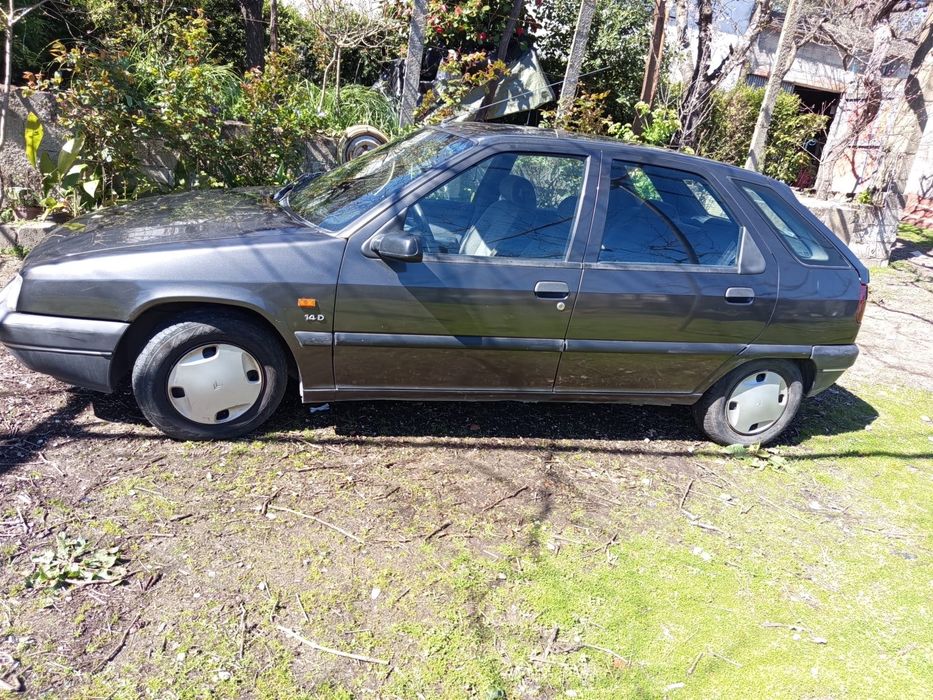 Citroen zx usado