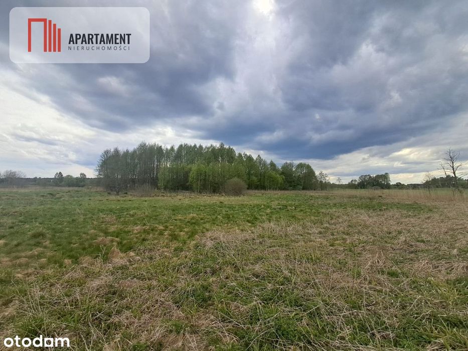 Działka 1,33 ha Nad rzeką Wierzyca-Lipy-Struga!
