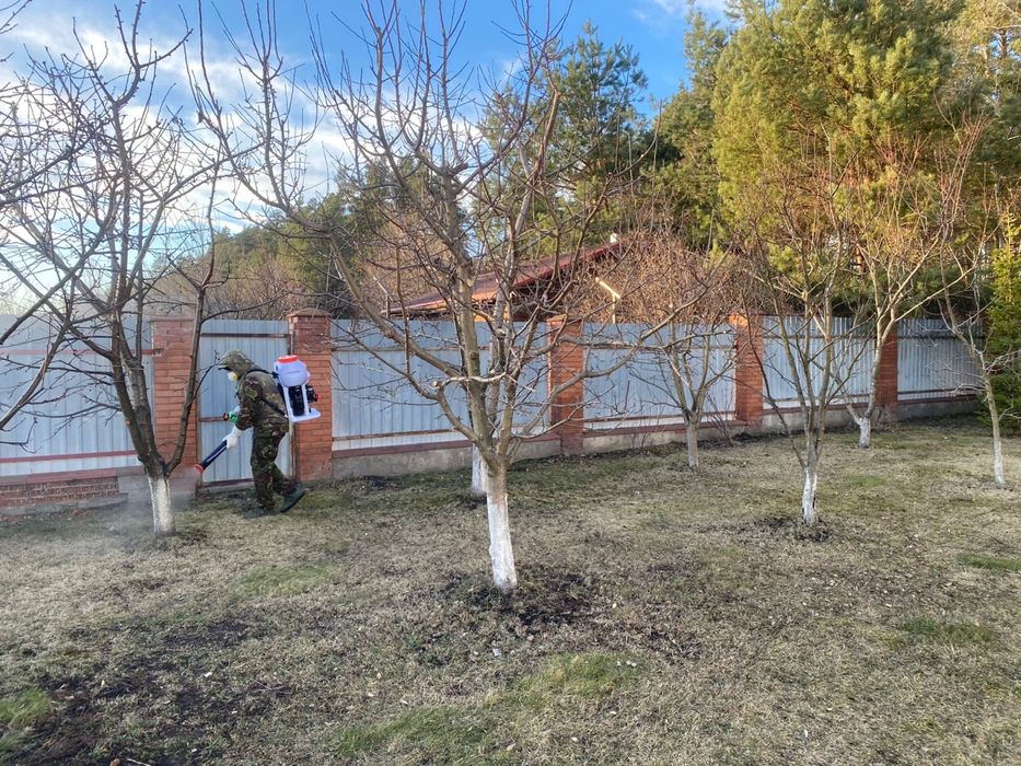 Професійна обрізка саду