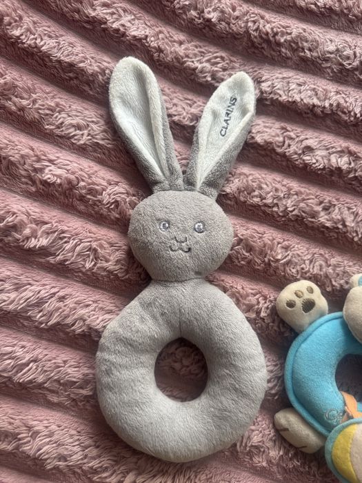 Брязкальця, гризун