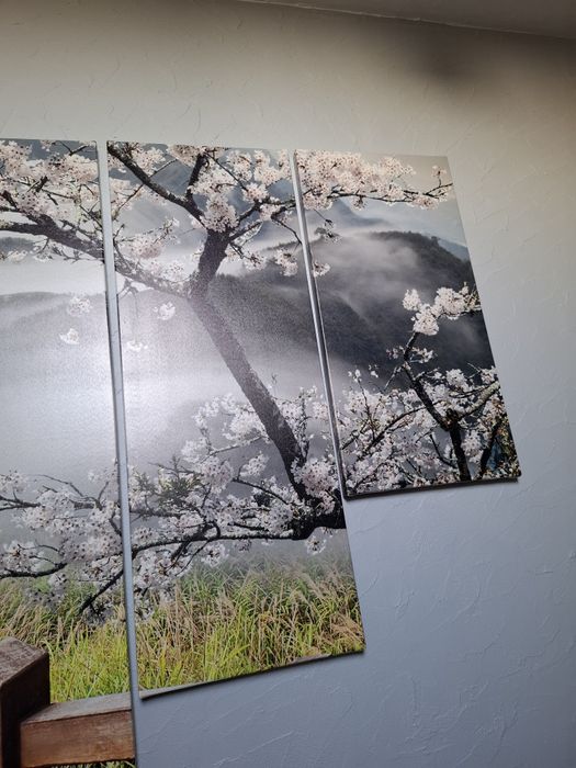 Obraz tryptyk most duży