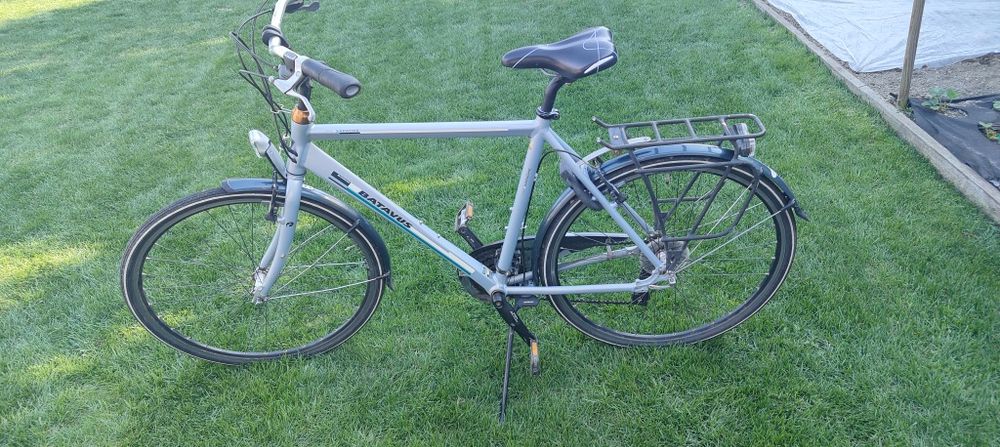 Rower Batavus Schimano