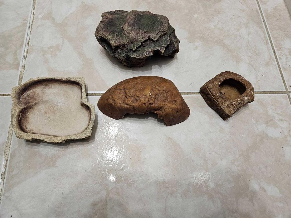 Diverso Material RÉPTEIS