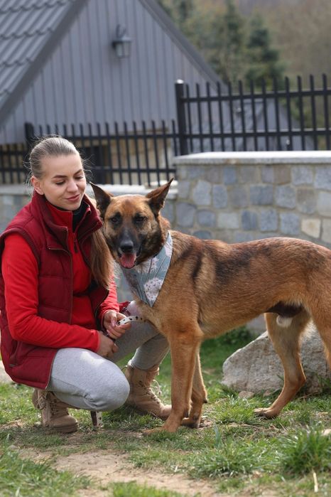Mix do adopcji bardzo fajny pies