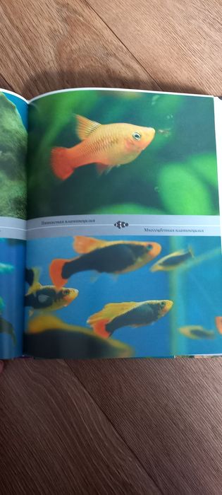Книжки , все про акваріум