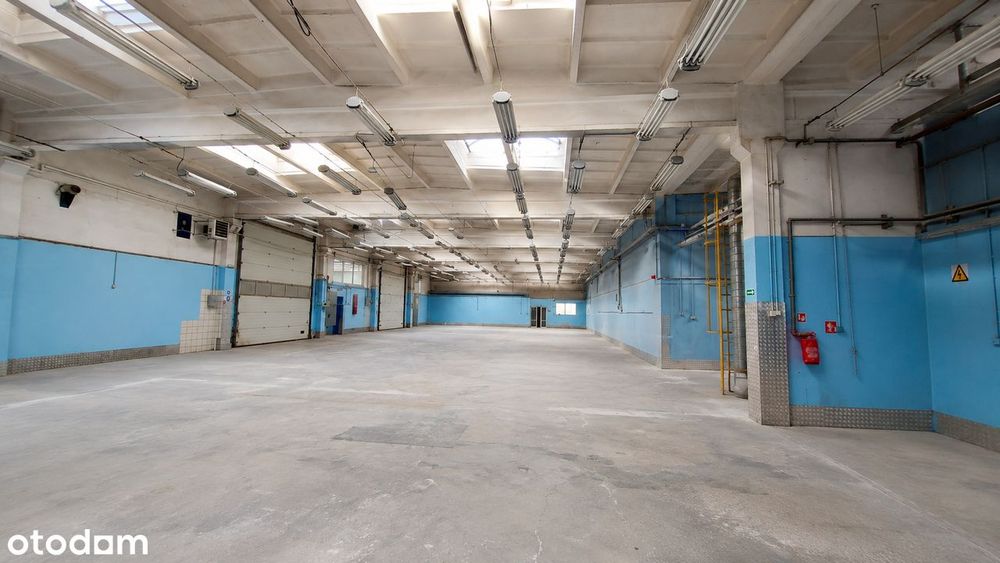 Magazyn/HALA produkcyjna, 6m wys Bielsko, parking TIR , brama poziom 0
