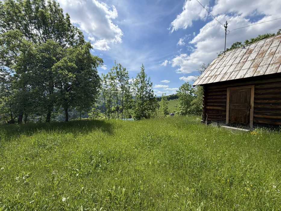 Продається затишний будинок у Карпатах біля лісу