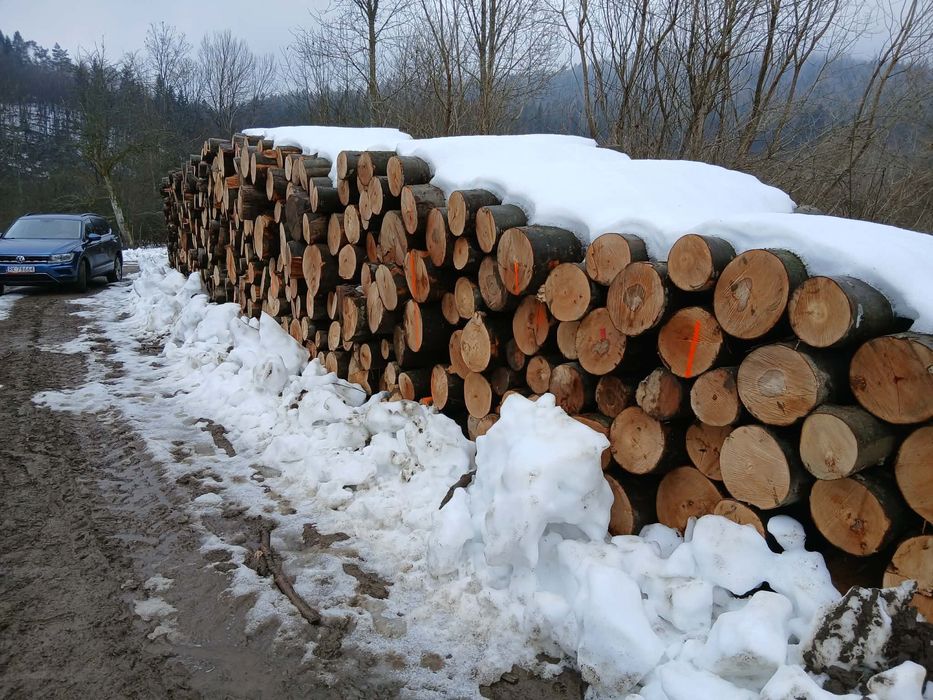 Drewno opałowe BUK GRAB drewno kominkowe  - 240,0 zł , Brzoza - SEZON