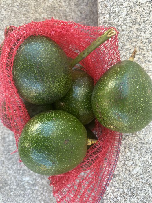 Abacates 2€/kilo