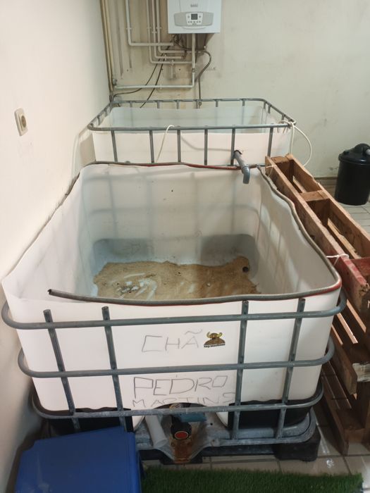 Tanques aquario peixes