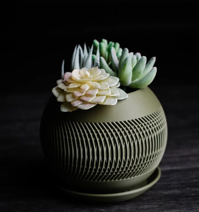 Вази для сухоцвітів