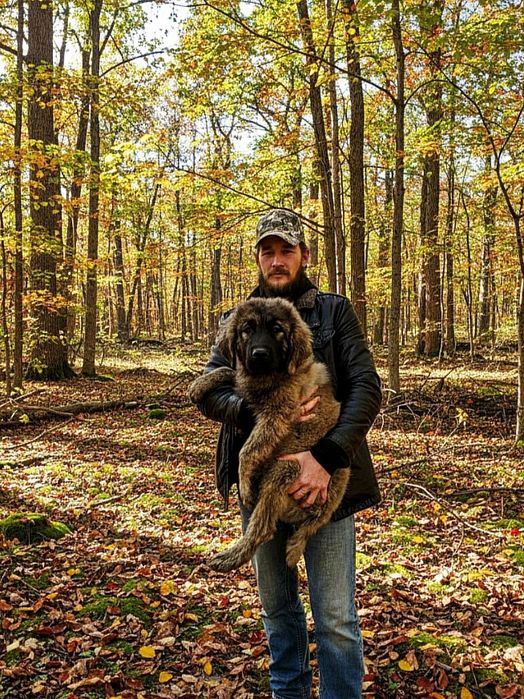 Цуценята від розплідника Start Escort великі робочі костисті