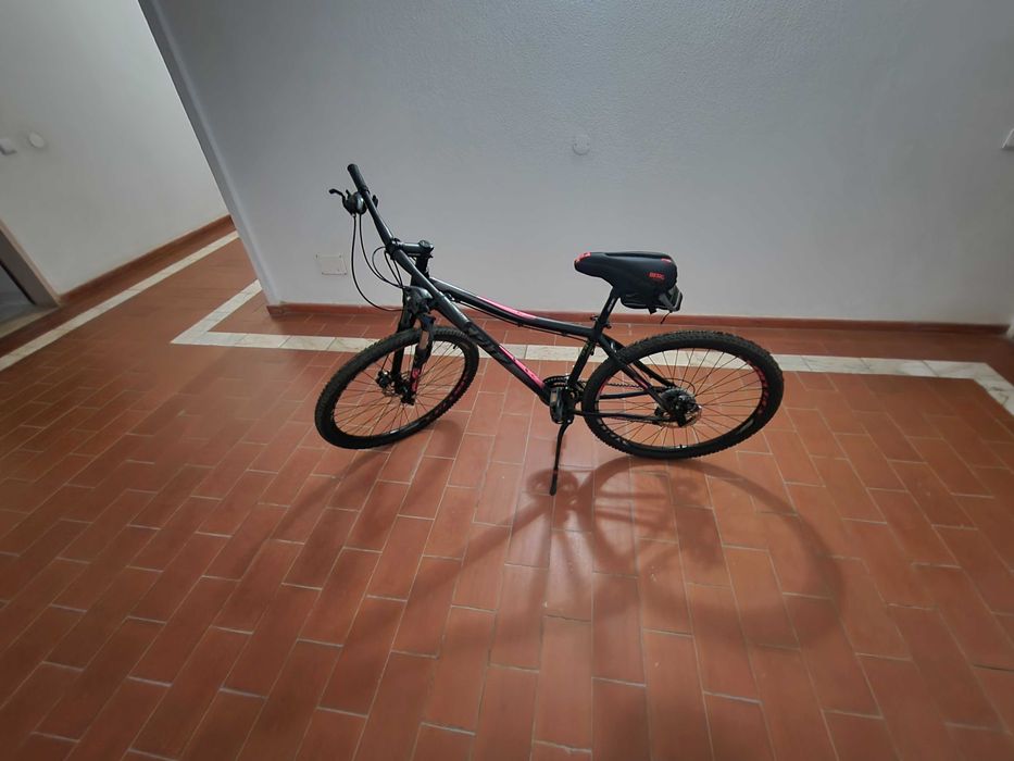 Bicicleta spitz terrain 20