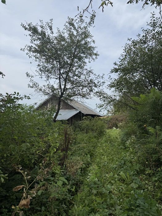 Продаж будинку  по вул. Польова в с.Заболоття 60 сот. землі