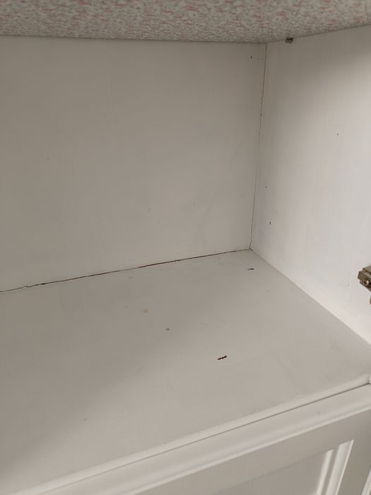 Szafa ubraniowa z dekorem