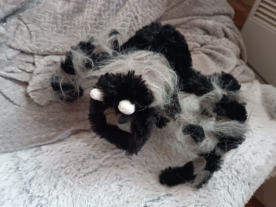 Костюм павука для маленького собаки чи кота